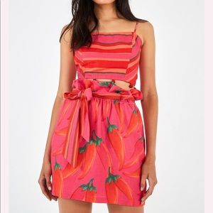 Anthropologie FARM Rio skirt Sz XS